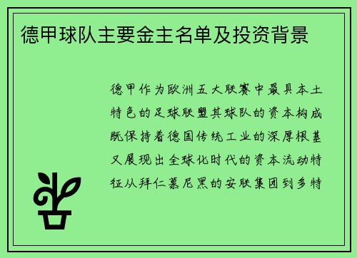 德甲球队主要金主名单及投资背景